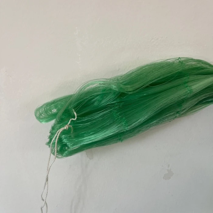 monofilament net manufacturers green color to Turkiye 0.30mm*250mmsq*55md *200mtrs factory